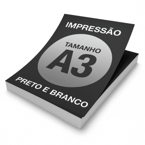 IMPRESSÃO A3  29,7X42    